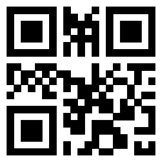 3300229106 - Immagine del QrCode associato