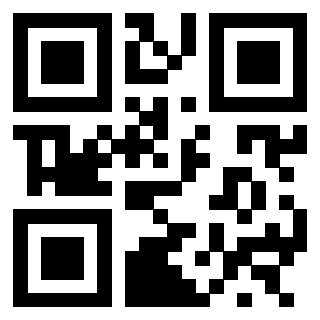 Il Qr Code di 3300363953