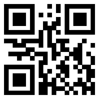 3300364333 - Immagine del QrCode