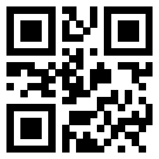 3300364599 - Immagine del QrCode associato