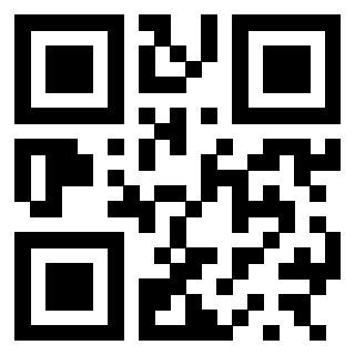 Il Qr Code di 3300408613