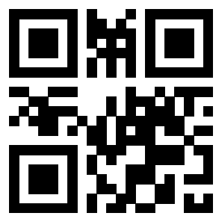 Il Qr Code di 3300408685