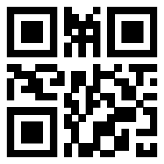 3300409009 - Immagine del QrCode