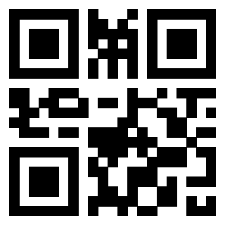 3300409013 Qr Code associato
