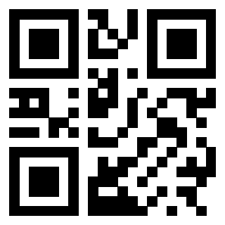 3300409028 - Immagine del QrCode