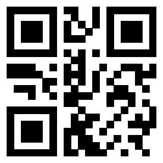 3300409032 - Immagine del QrCode