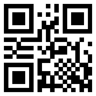 3300409100 - Immagine del Qr Code