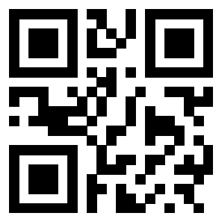 Il Qr Code di 3300409303