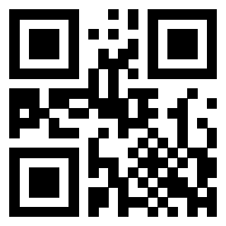 3300409311 - Immagine del QrCode