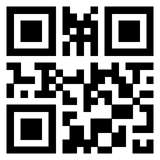 3300409318 Qr Code associato