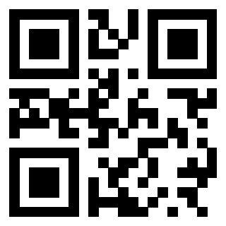 3300497379 QrCode associato