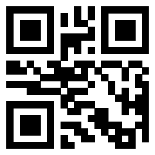 3300497381 - Immagine del Qr Code associato