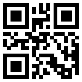 3300497383 QrCode associato