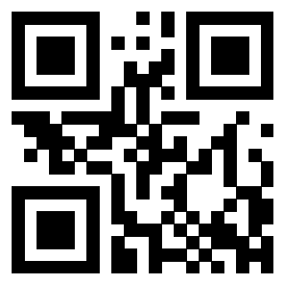 3300497446 Qr Code associato