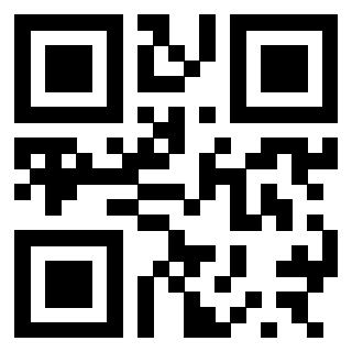 Il Qr Code di 3300497613