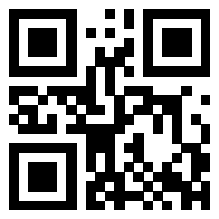 Il Qr Code di 3300497836