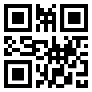 3300497873 - Immagine del QrCode