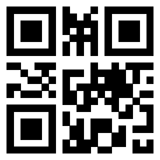 Il Qr Code di 3300497928
