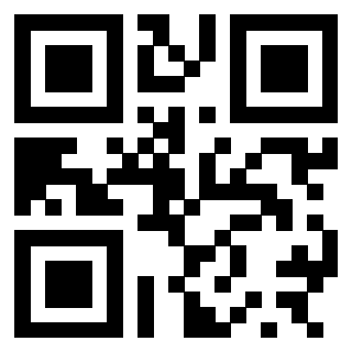 3300498041 Qr Code associato