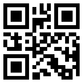 3300498063 - Immagine del QrCode