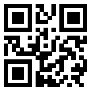 3300498065 - Immagine del QrCode