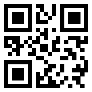3300498133 QrCode associato
