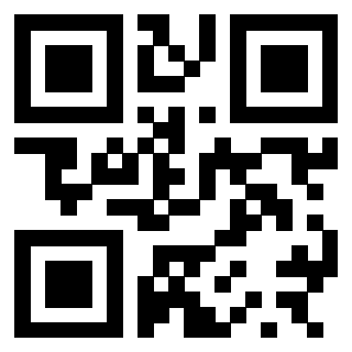 3300498294 QrCode associato