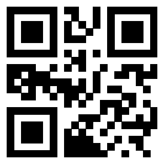 3300525688 - Immagine del QrCode