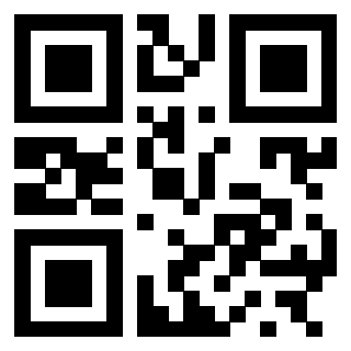 3300525919 - Immagine del Qr Code