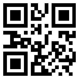 3300525920 - Immagine del QrCode