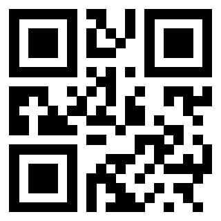 3300525938 QrCode associato