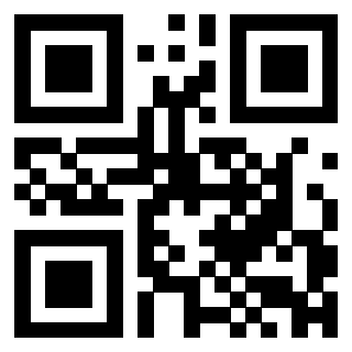 3300526043 - Immagine del QrCode