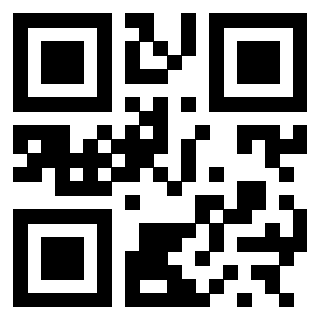 3300586919 - Immagine del QrCode associato