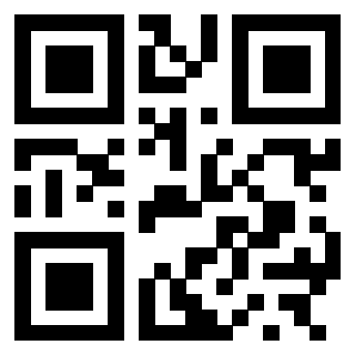 3300587009 - Immagine del Qr Code