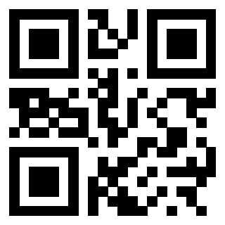 3300587028 - Immagine del QrCode associato