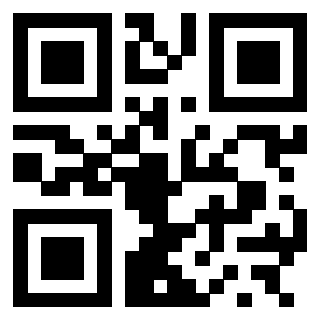 3300587045 - Immagine del QrCode
