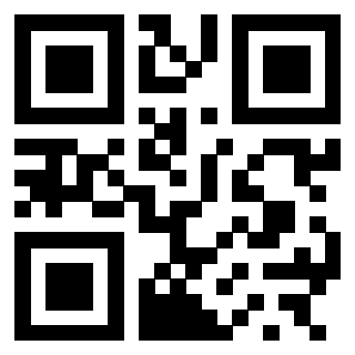 3300587060 - Immagine del Qr Code associato