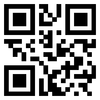 3300587085 - Immagine del QrCode