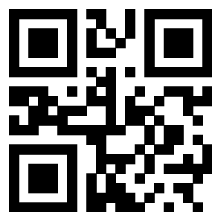3300587091 QrCode associato