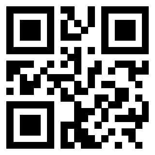 QrCode di 3300587199