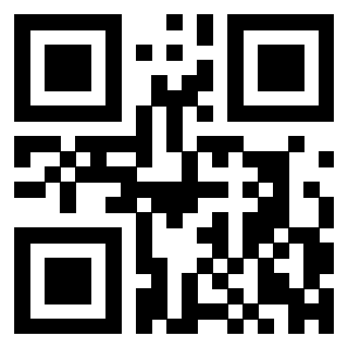 3300626636 QrCode associato