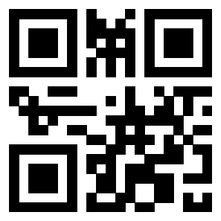 3300626873 - Immagine del QrCode