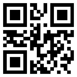 3300626875 - Immagine del QrCode