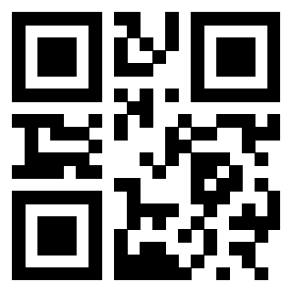 3300627256 QrCode associato