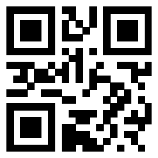 3300627333 - Immagine del QrCode
