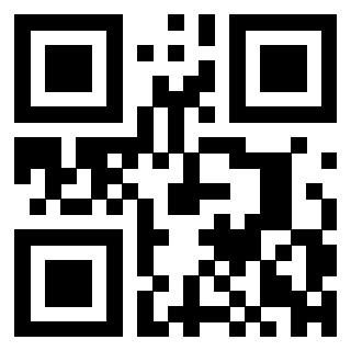 3300652893 - Immagine del QrCode