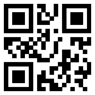 3300652925 - Immagine del QrCode associato