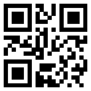 3300653006 QrCode associato