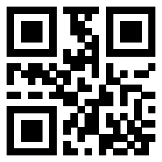 3300653022 - Immagine del QrCode