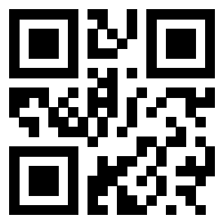 3300653028 - Immagine del Qr Code associato